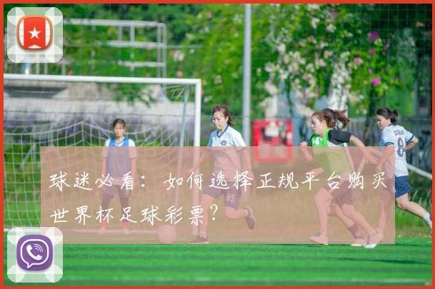 球迷必看：如何选择正规平台购买世界杯足球彩票？