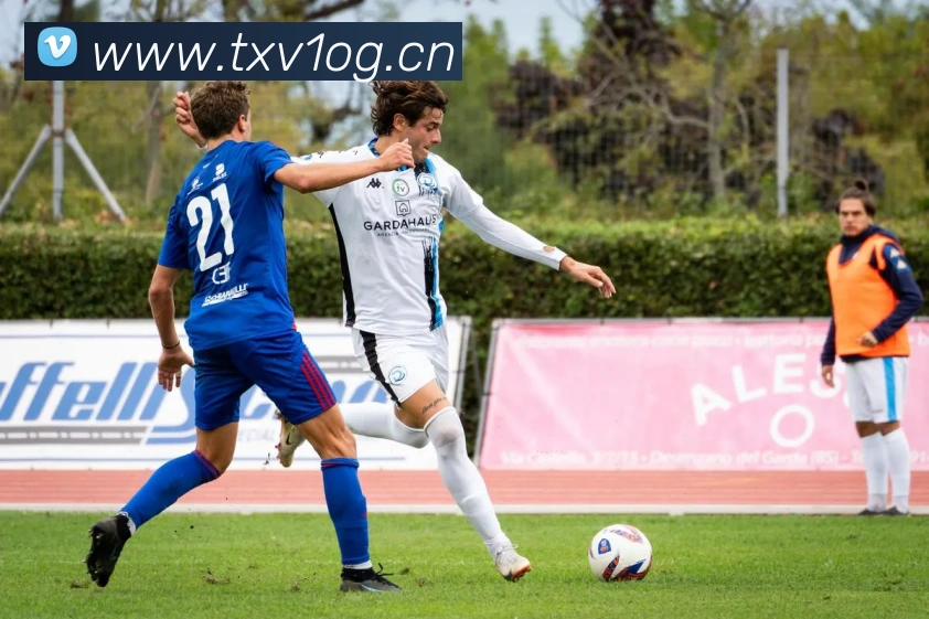 开云app官方版入口app发展历程