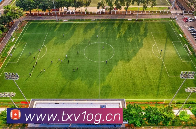 快手奥运体操专题回顾分项赛况评分波动与用户关注带动传播看点